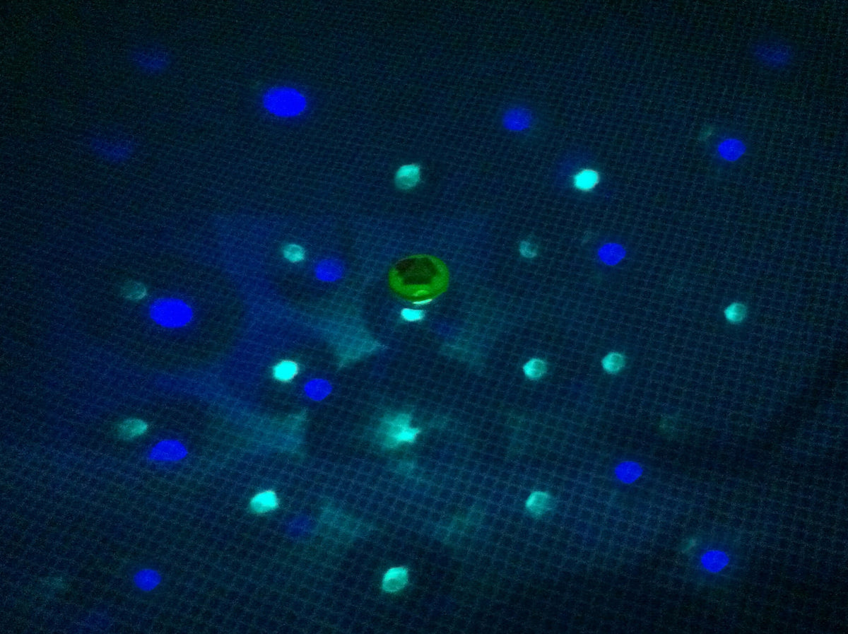 LED Disco Unterwasser Lichtshow 4 leuchtstarke LED`S zaubern Disco-Designs